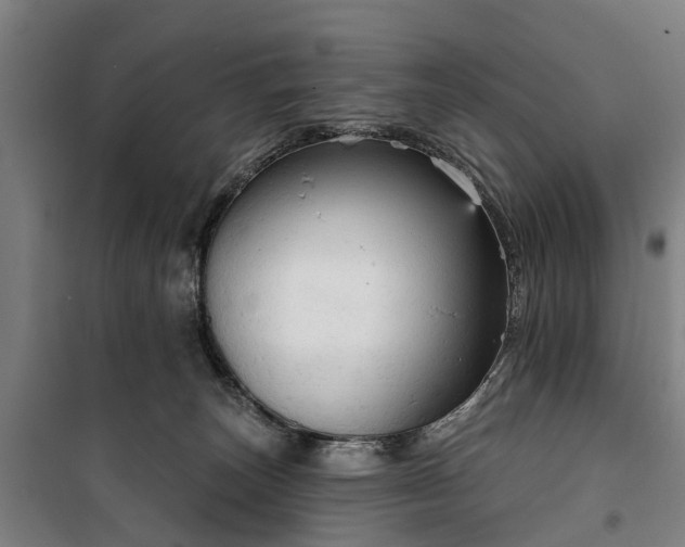 X0000100330179200806121136