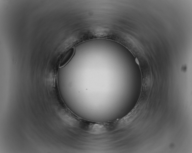 X0000100330180200806121136