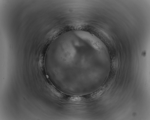 X0000100330181200806121136