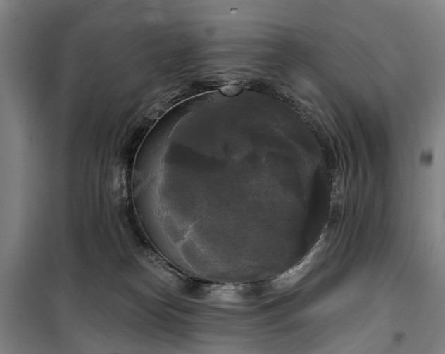 X0000100330182200806121136