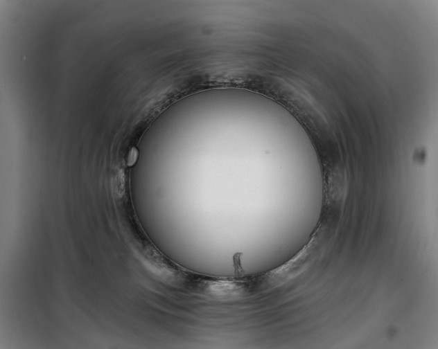 X0000100330183200806121136