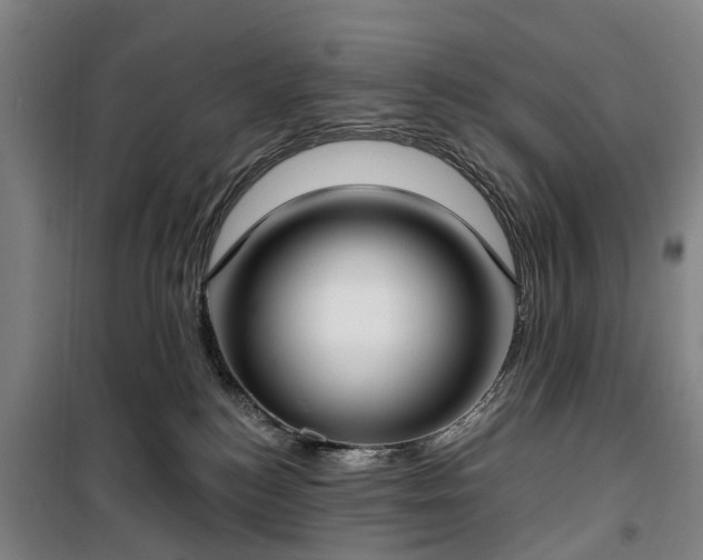 X0000100330184200806121136