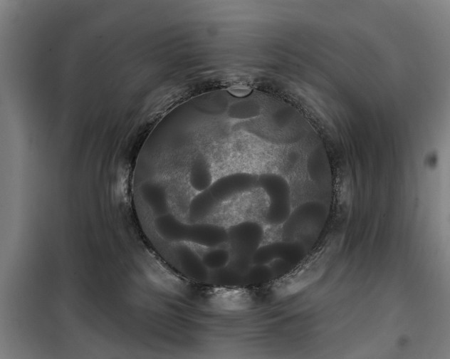 X0000100330185200806121136