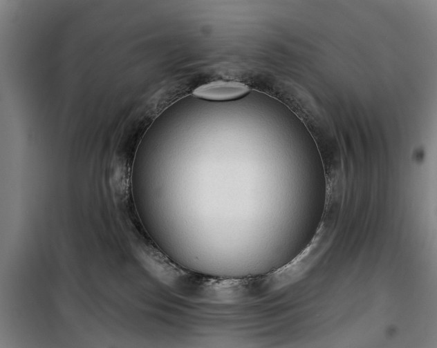 X0000100330186200806121136