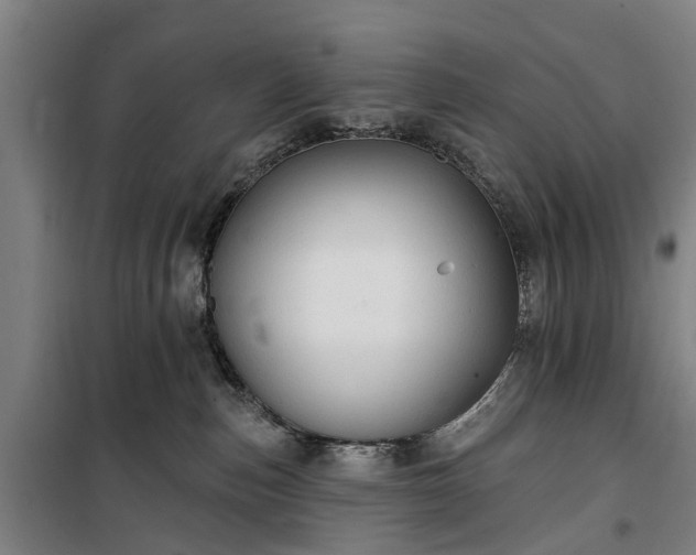 X0000100330187200806121136