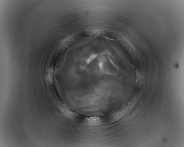 X0000100330189200806121136