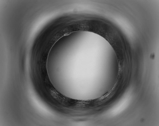 X0000100330190200806121136