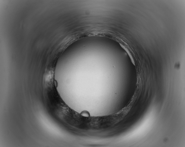 X0000100330191200806121136