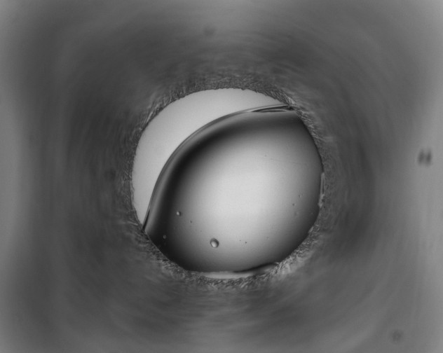 X0000100330192200806121136