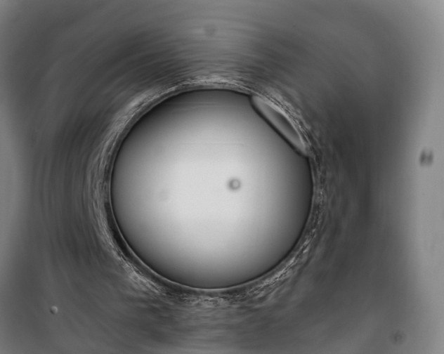 X0000100330193200806121135