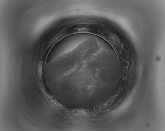 X0000100330194200806121135