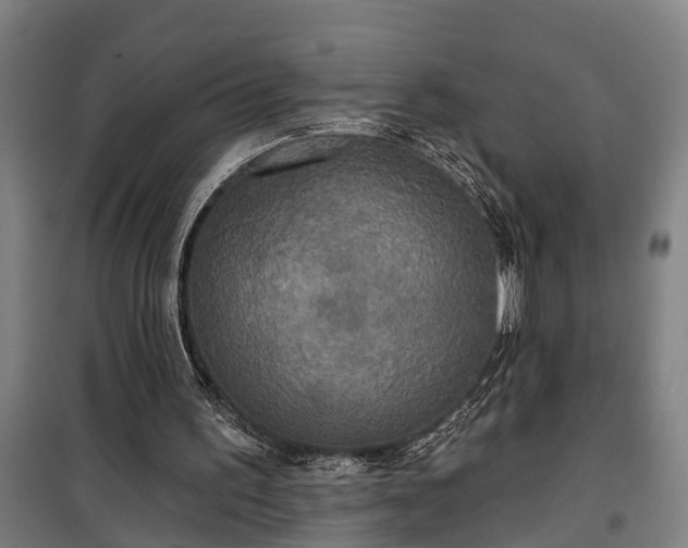 X0000100330195200806121135