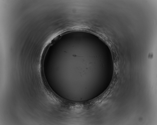 X0000100330196200806121135