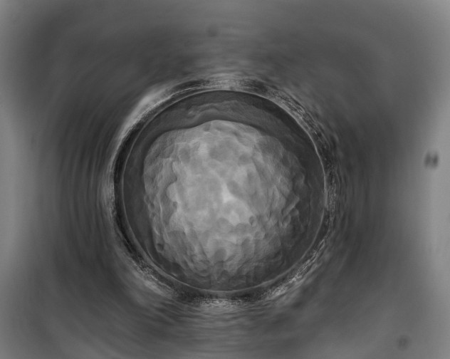 X0000100330198200806121135