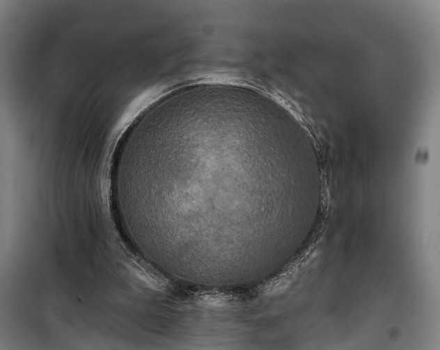 X0000100330199200806121135