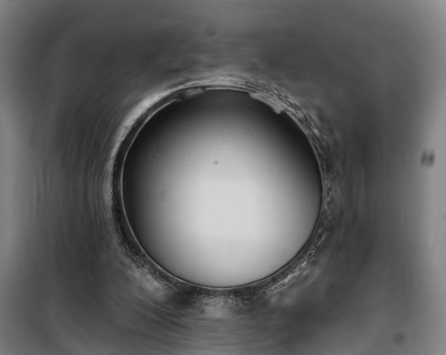 X0000100330200200806121135