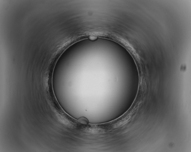 X0000100330201200806121135