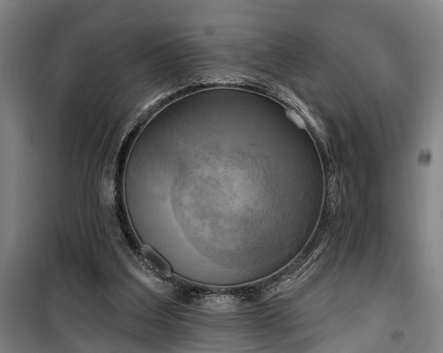 X0000100330203200806121135