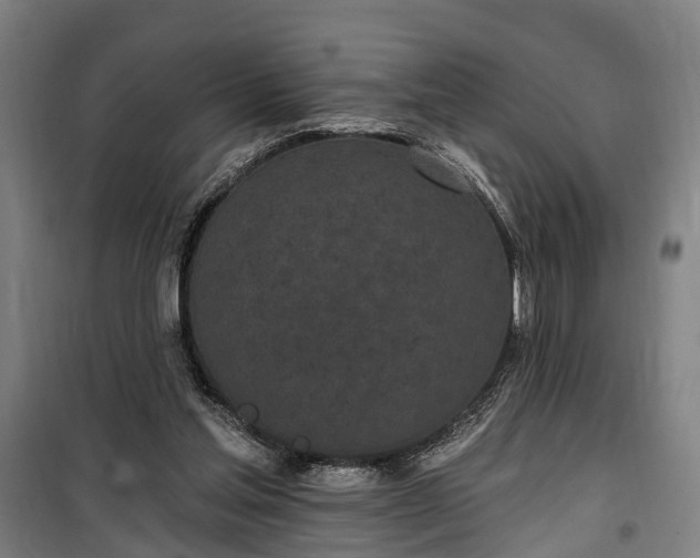 X0000100330205200806121135