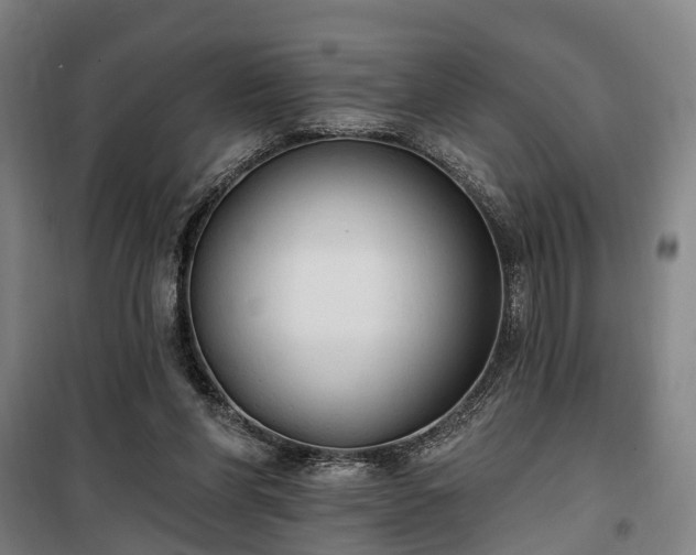 X0000100330206200806121135