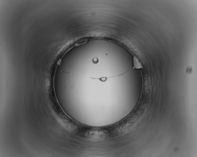 X0000100330208200806121135