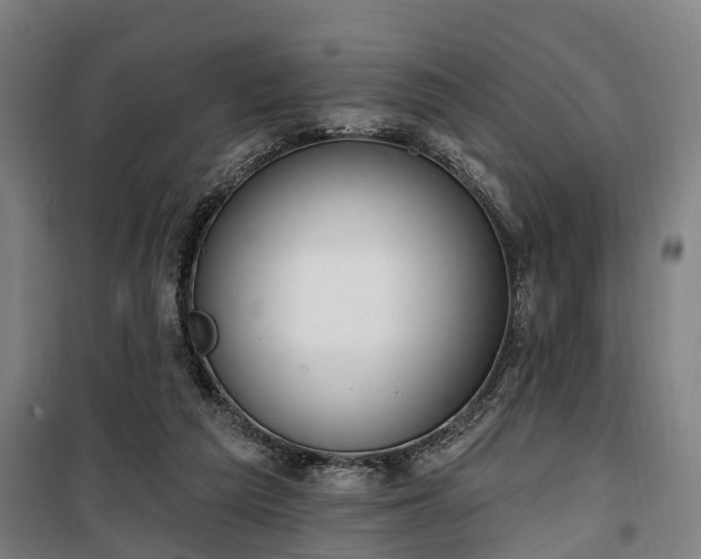 X0000100330209200806121135