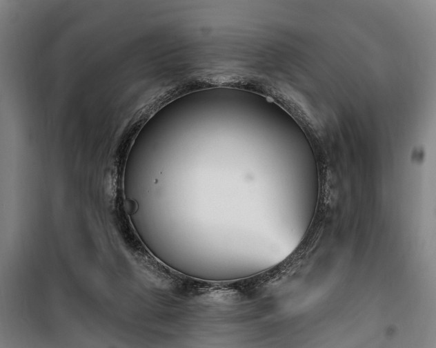 X0000100330210200806121135