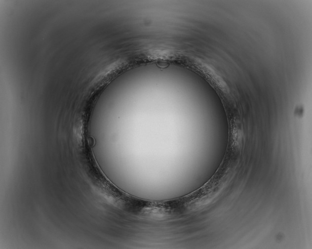 X0000100330211200806121135