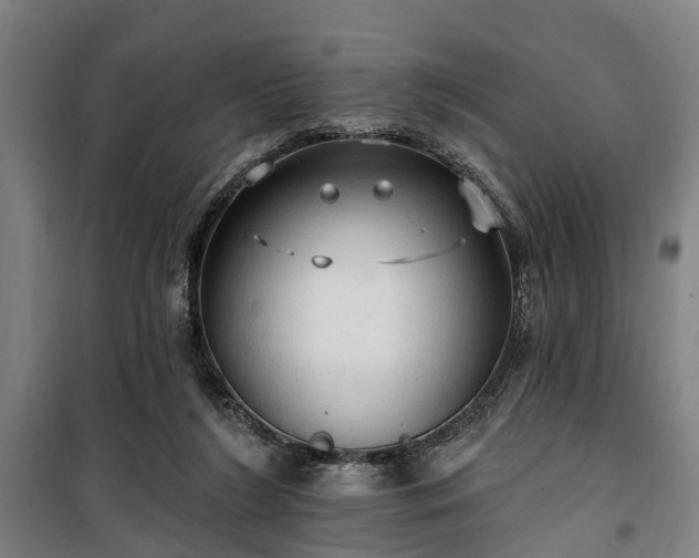 X0000100330212200806121135