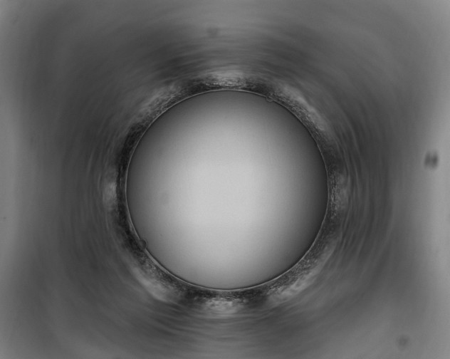 X0000100330213200806121135