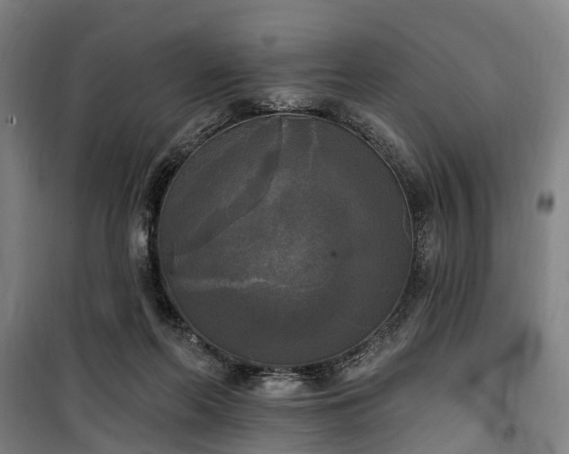 X0000100330214200806121135