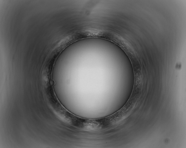 X0000100330215200806121135