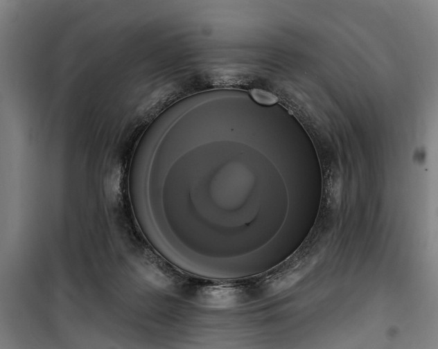 X0000100330219200806121135