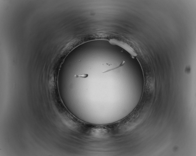 X0000100330220200806121135