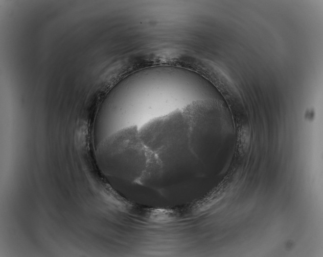 X0000100330222200806121135