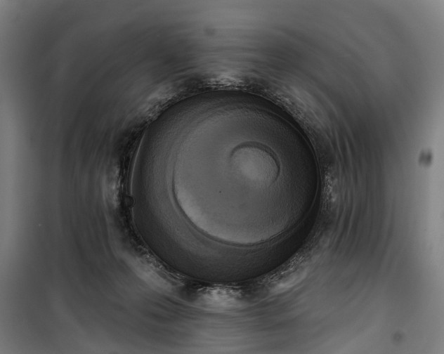 X0000100330223200806121135