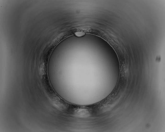 X0000100330224200806121135