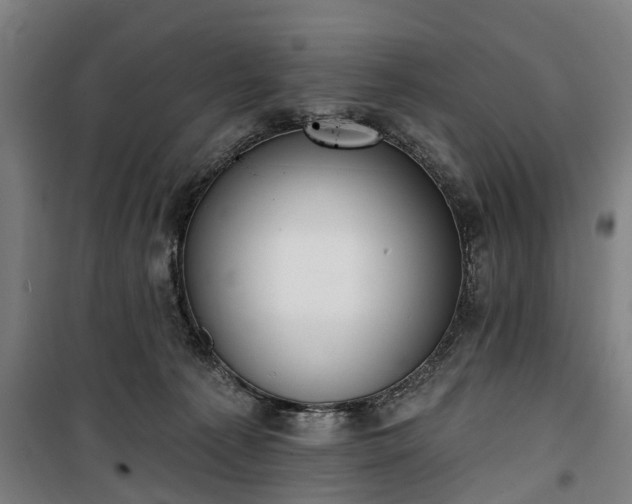 X0000100330225200806121135