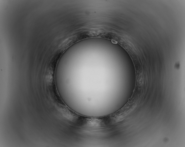 X0000100330226200806121135