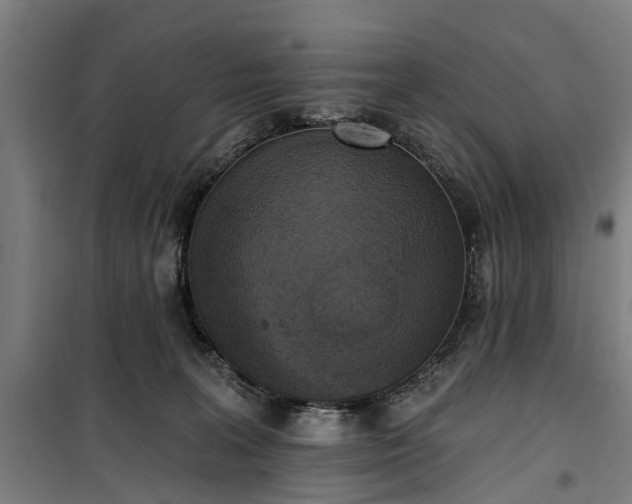 X0000100330227200806121135