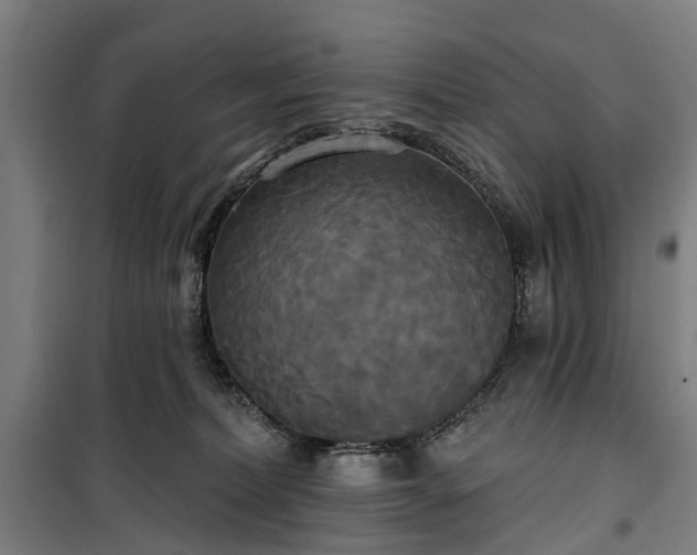 X0000100330228200806121135