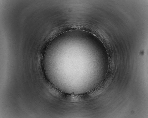 X0000100330229200806121135