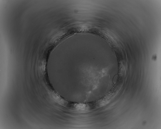 X0000100330230200806121135