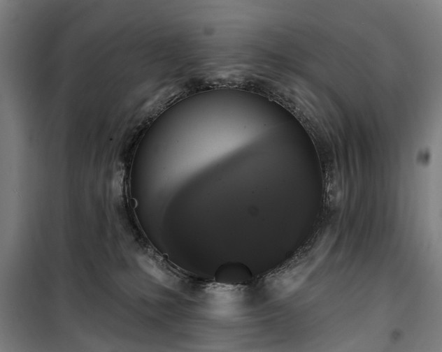 X0000100330231200806121135