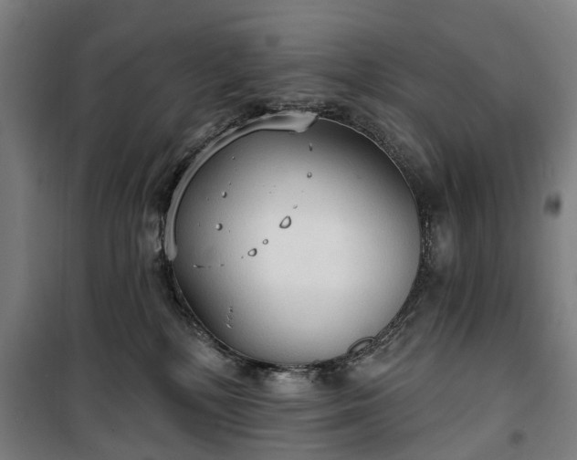 X0000100330232200806121135