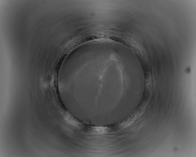 X0000100330233200806121135