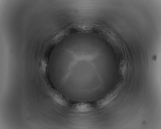 X0000100330235200806121135