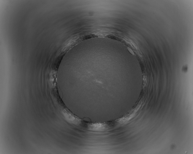 X0000100330237200806121135