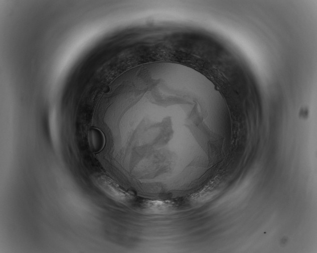 X0000100330239200806121135