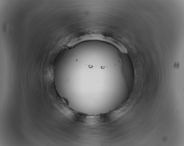 X0000100330240200806121135